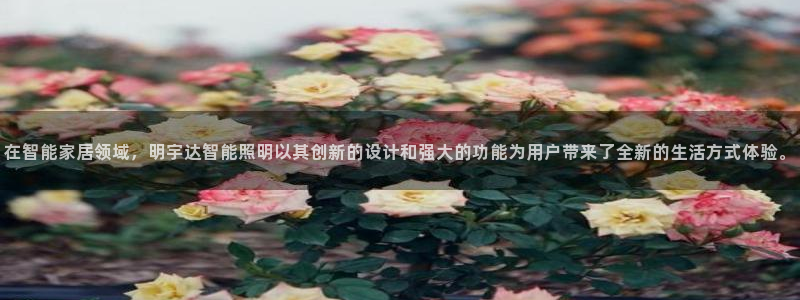 云顶集团welcome官网