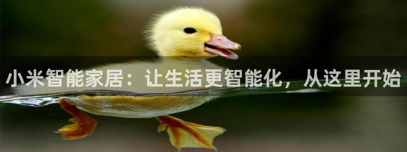 云顶国际城手机网址查询