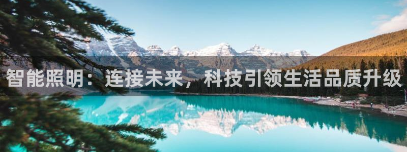 云顶集团中国区执行总裁是谁