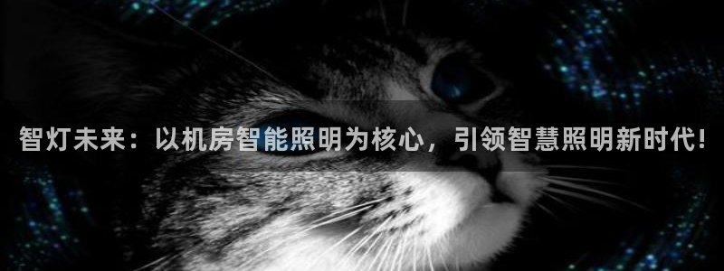 云顶集团林致华