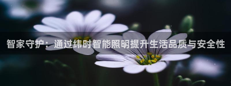 云顶国际和百姓渔村哪家好