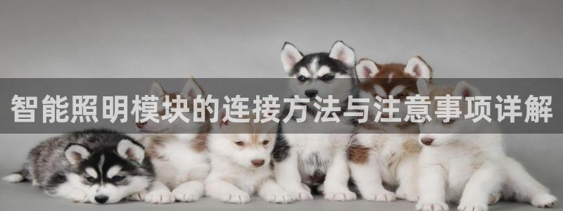 云顶国际服什么时候更新赛季