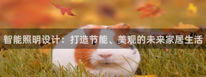 云顶集团专属APP