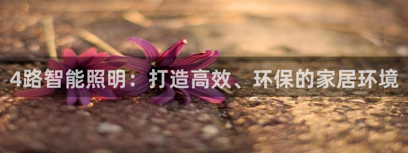 云顶国际官网官方