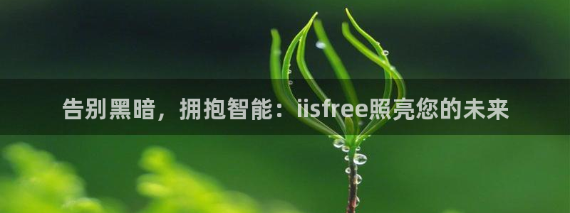 云顶国际服s9