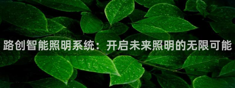 云顶网上官网