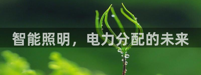 云顶s6国际服