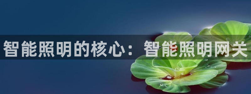 云顶国际酒店位置从后王坐几路公交车太原
