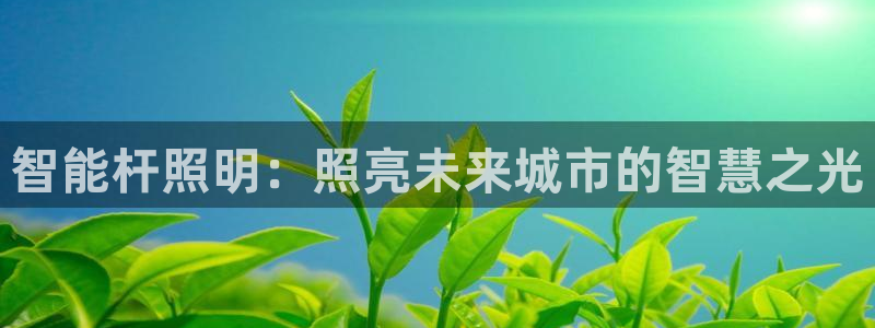 云顶国际服怎么选服务器