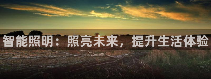 云顶国际是个什么平台