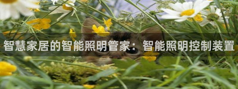 云顶国际提现不到账