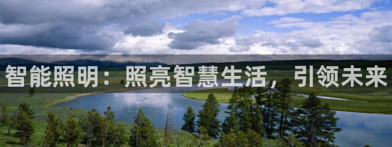 云顶集团公司