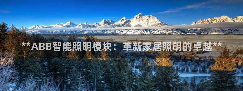 云顶国际会所怎么样