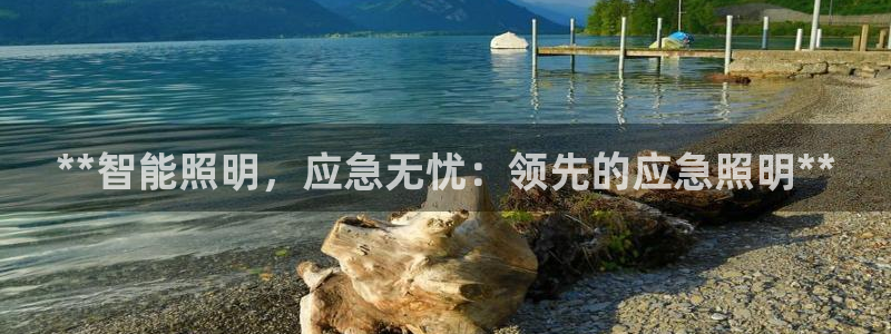 云顶国际服s9