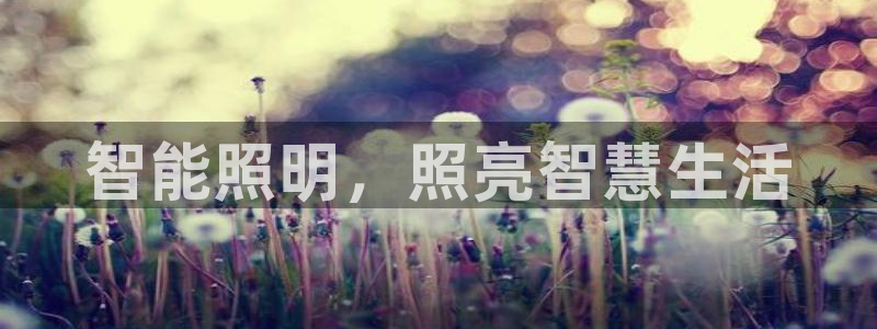 云顶国际club