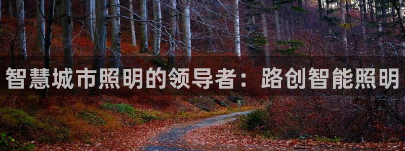 云顶国际yd333团体官网