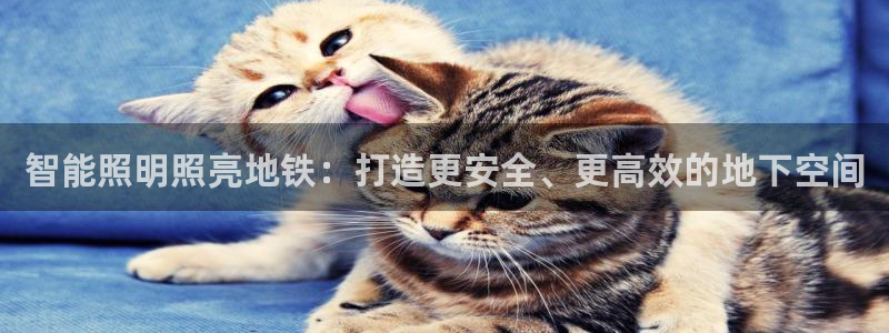 云顶集团下载