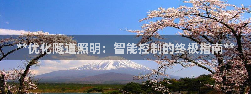 云顶电子游戏app