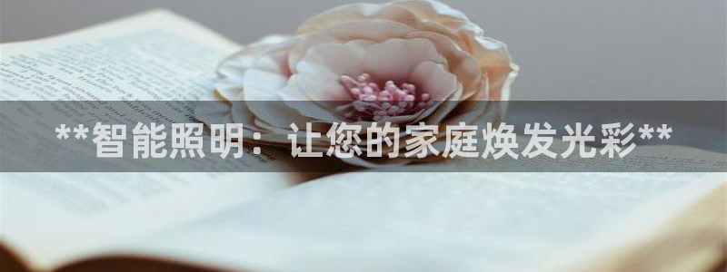 云顶国际服如何调中文