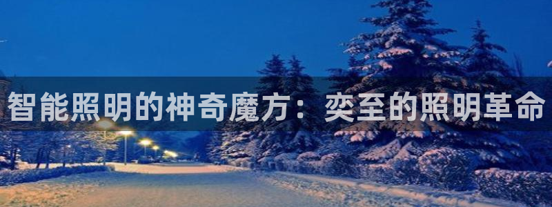 云顶国际ktv会所电话