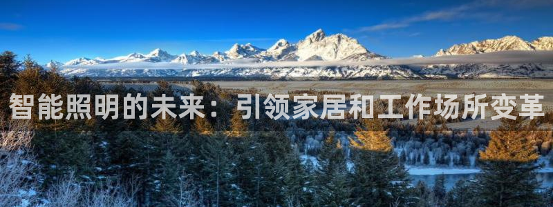云顶手游国际服账号