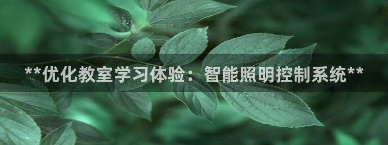 云顶国际会所是干嘛的地方啊