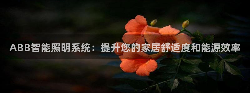 云顶国际游戏网址
