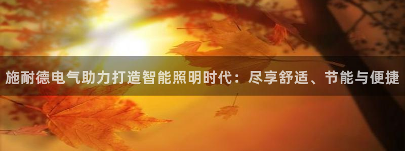 云顶国际服账号