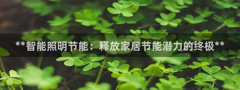 云顶国际酒店老板