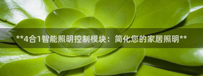 云顶国际会所