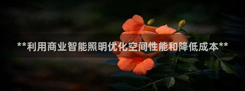 云顶国际停车费怎么收