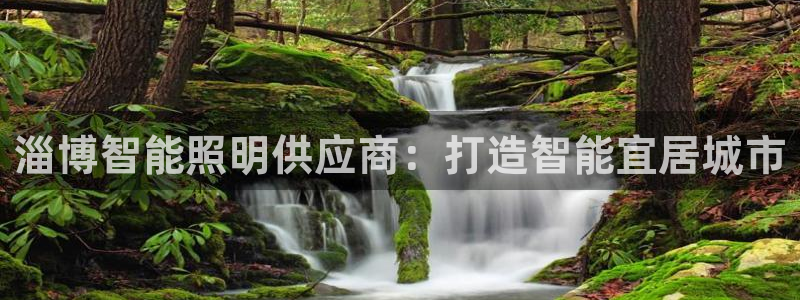 云顶集团3118官网
