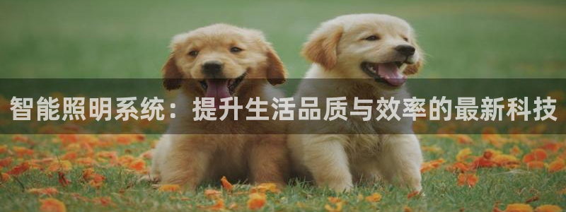 云顶集团投资是不是真的吗