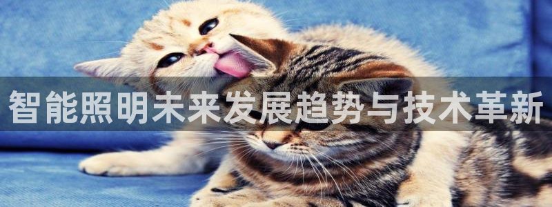 云顶国际提款不到账什么原因
