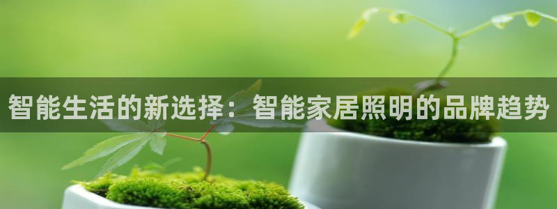 云顶国际培训中心