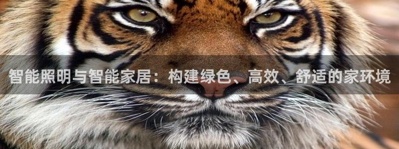 2322云顶国际手机版