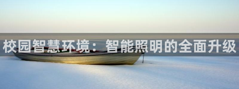 云顶集团公司简介