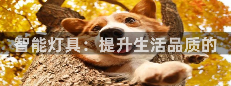 云顶国际图片