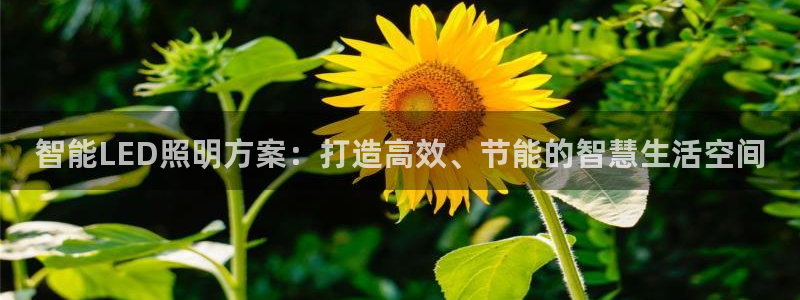 云顶国际俱乐部电话