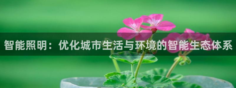 云顶电玩城游戏官网