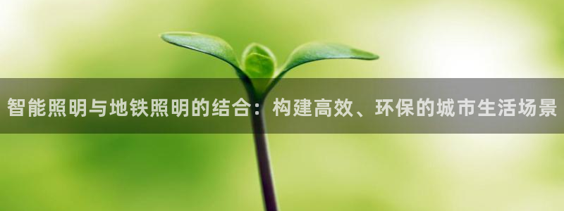 云顶国际公馆二手房