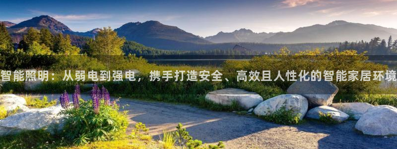 云顶官网网址
