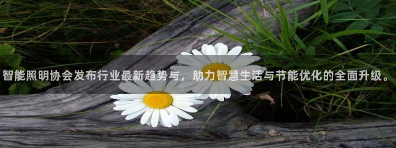 云顶国际集团官网网址