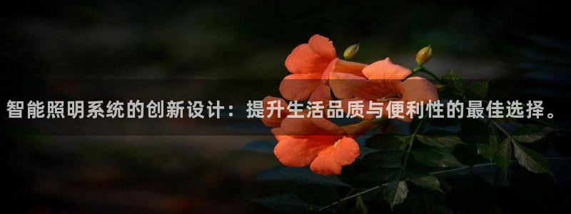 云顶集团网投领头